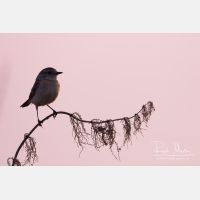 5224 x 3483_Px _RM_160528_MG_2296.jpg