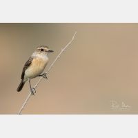 5472 x 3648 Px   _RM_180428__D2_8496.jpg