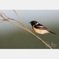 5472 x 3648_Px _RM_160530_MG_4037.jpg