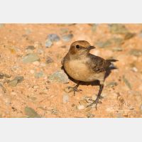 4635 x 3090_Px _RM_140303_MG_0667.jpg