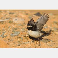 4715 x 3144_Px _RM_140304_MG_1202.jpg