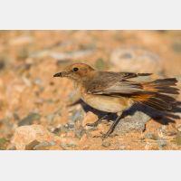 4760 x 3173_Px _RM_140303_MG_0679.jpg