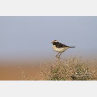 4881 x 3254_Px _RM_140304_MG_1230.jpg