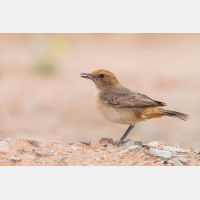 4942 x 3295_Px _RM_140303_MG_0139.jpg