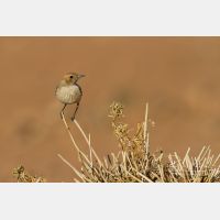 5184 x 3456_Px _RM_140221_MG_9409.jpg