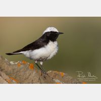 4607 x 3072_Px _RM_140603_MG_0986.jpg