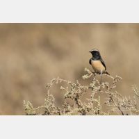 4669 x 3113_Px _RM_141023_MG_7243.jpg