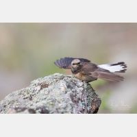 4821 x 3214 Px   _RM_190607_D2_7410.jpg