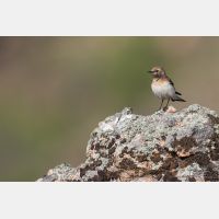 5074 x 3383 Px   _RM_190607_D2_7385.jpg