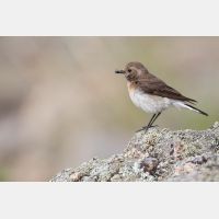 5086 x 3391 Px   _RM_190607_D2_7412.jpg