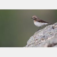 5392 x 3594 Px   _RM_190607_D2_7402.jpg