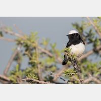 5472 x 3648 Px   _RM_180427__D2_7946.jpg