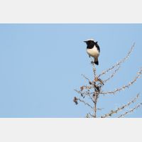 5472 x 3648 Px   _RM_180427__D2_7961.jpg