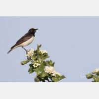 5472 x 3648 Px   _RM_180510__D2_1193.jpg