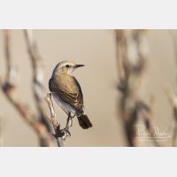 5018 x 3345_Px _RM_140220_MG_8882.jpg