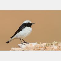 5075 x 3383_Px _RM_140222_MG_0165.jpg