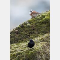 3648 x 5472 Px   _RM_180514__D2_2056.jpg