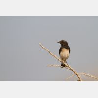 5184 x 3456 Px   _RM_141025_MG_6971.jpg