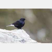 5472 x 3648 Px   _RM_180514__D2_2045.jpg