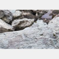 5472 x 3648 Px   _RM_180514__D2_2071.jpg