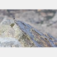 5472 x 3648 Px   _RM_180516__D2_2676.jpg