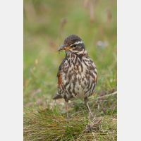 2198 x 3297_Px _RM_070704_MG_4665.jpg