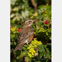 2991 x 4486_Px _RM_111014_MG_4020.jpg