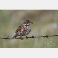 3300 x 2200_Px _RM_070704_MG_4642.jpg