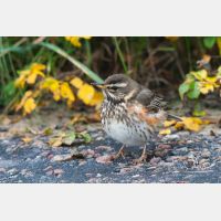 3313 x 2209_Px _RM_081010_MG_4063.jpg