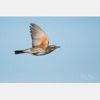 3972 x 2648 Px   _RM_191031_DSC_0371.jpg