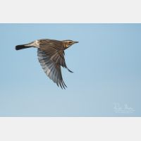 4041 x 2694 Px   _RM_191031_DSC_0372.jpg