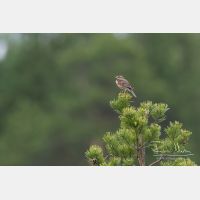 4843 x 3229_Px _RM_160617_MG_0878.jpg