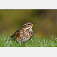 5134 x 3423_Px _RM_111014_MG_3937.jpg