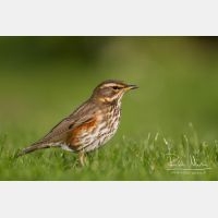 5144 x 3429_Px _RM_111015_MG_5050.jpg