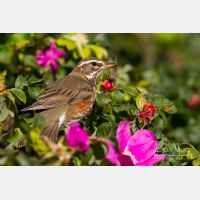 5153 x 3436_Px _RM_111014_MG_4040.jpg