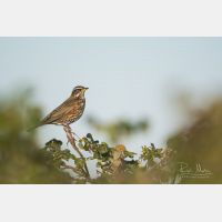 5568 x 3712 Px   _RM_191031_DSC_0618.jpg