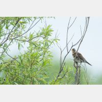 4264 x 2843 Px   _RM_190626_D2_9485.jpg