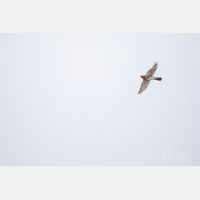 4716 x 3144 Px   _RM_201030_D4_9791.jpg