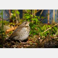 4730 x 3154_Px _RM_120517_MG_8051.jpg