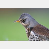 4748 x 3165_Px _RM_111014_MG_3099.jpg