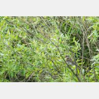 4795 x 3196 Px   _RM_190626_D2_9493.jpg