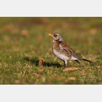 4825 x 3217_Px _RM_130410_MG_1008.jpg