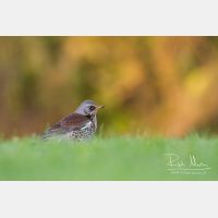 5014 x 3343_Px _RM_111014_MG_3118.jpg