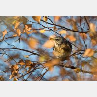 5038 x 3358 Px   _RM_191029_D2_5719.jpg