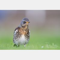 5080 x 3387_Px _RM_111014_MG_3050.jpg