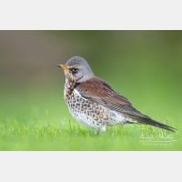 5100 x 3400_Px _RM_111014_MG_3074_b.jpg