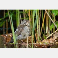 5113 x 3409_Px _RM_120517_MG_8022.jpg