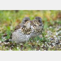 5184 x 3456_Px _RM_120517_MG_7983.jpg