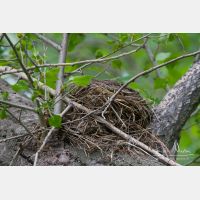 5184 x 3456_Px _RM_140527_MG_7893-2.jpg