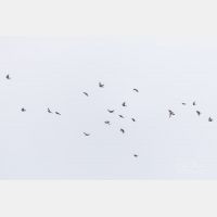 5384 x 3589 Px   _RM_201030_D4_9770.jpg